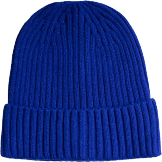 FWRD Glacier Ribbed Beanie Royal